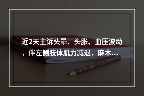 近2天主诉头晕、头胀、血压波动，伴左侧肢体肌力减退，麻木，此