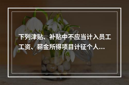 下列津贴、补贴中不应当计入员工工资、薪金所得项目计征个人所得