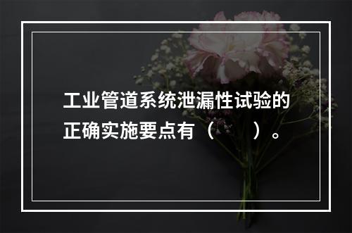 工业管道系统泄漏性试验的正确实施要点有（　　）。