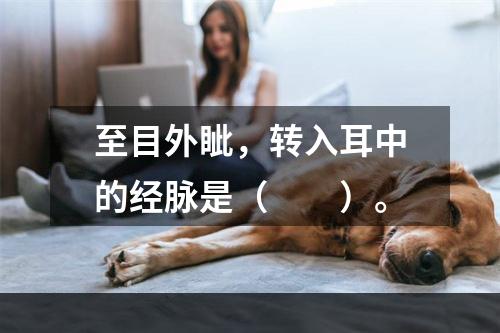 至目外眦，转入耳中的经脉是（　　）。