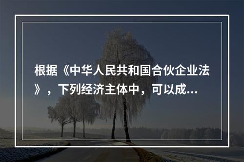 根据《中华人民共和国合伙企业法》，下列经济主体中，可以成为合