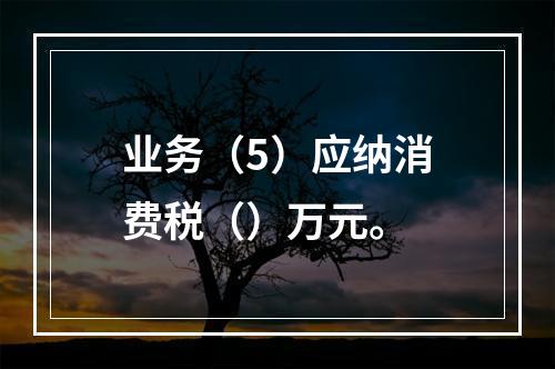 业务（5）应纳消费税（）万元。