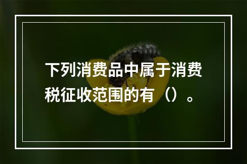 下列消费品中属于消费税征收范围的有（）。