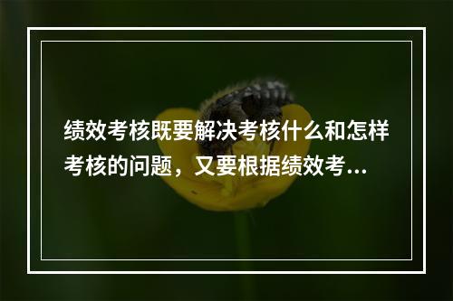 绩效考核既要解决考核什么和怎样考核的问题，又要根据绩效考核