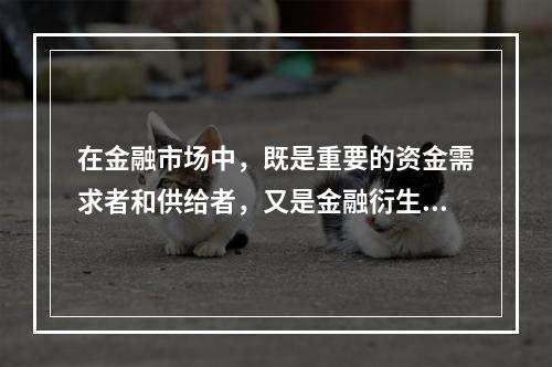 在金融市场中，既是重要的资金需求者和供给者，又是金融衍生品市