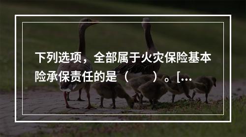 下列选项，全部属于火灾保险基本险承保责任的是（　　）。[20