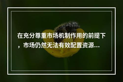 在充分尊重市场机制作用的前提下，市场仍然无法有效配置资源和正