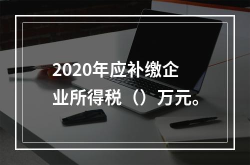 2020年应补缴企业所得税（）万元。