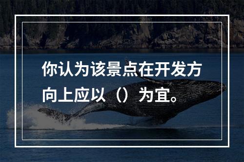 你认为该景点在开发方向上应以（）为宜。