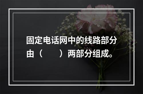 固定电话网中的线路部分由（　　）两部分组成。