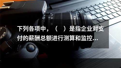 下列各项中，（　）是指企业对支付的薪酬总额进行测算和监控，以