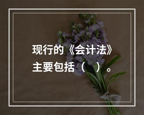 现行的《会计法》主要包括（　）。