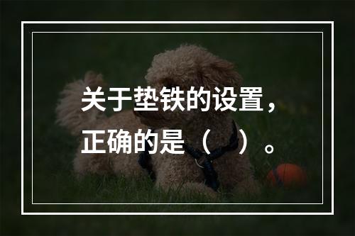 关于垫铁的设置，正确的是（　）。