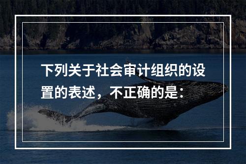 下列关于社会审计组织的设置的表述，不正确的是：