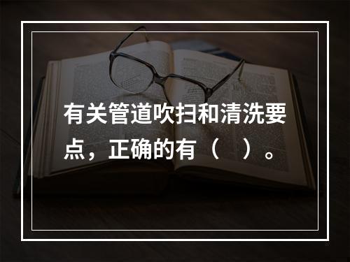 有关管道吹扫和清洗要点，正确的有（　）。