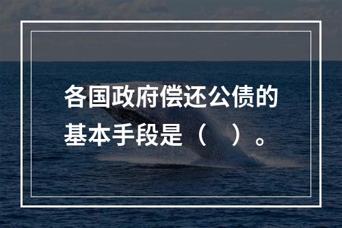 各国政府偿还公债的基本手段是（　）。