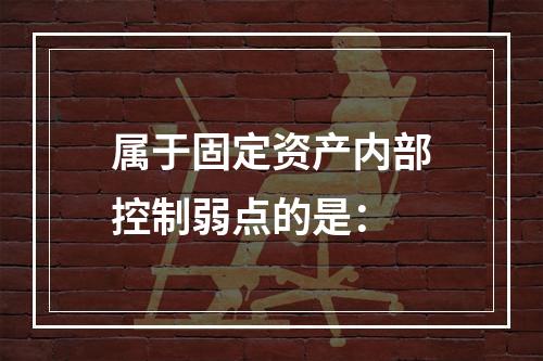 属于固定资产内部控制弱点的是：