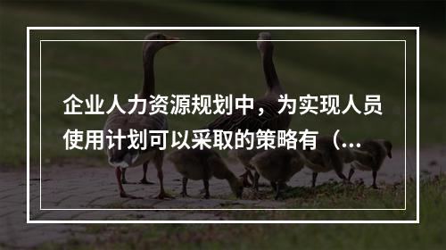 企业人力资源规划中，为实现人员使用计划可以采取的策略有（　