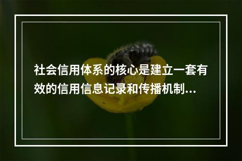 社会信用体系的核心是建立一套有效的信用信息记录和传播机制，要