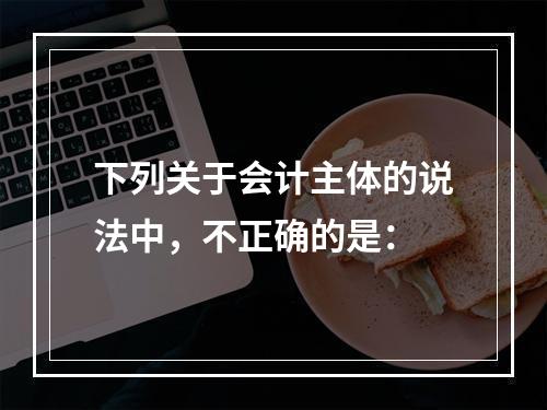 下列关于会计主体的说法中，不正确的是：