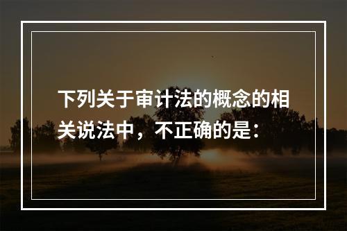 下列关于审计法的概念的相关说法中，不正确的是：