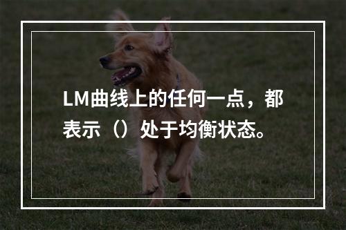 LM曲线上的任何一点，都表示（）处于均衡状态。