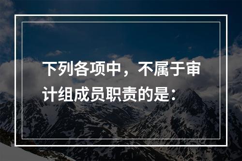 下列各项中，不属于审计组成员职责的是：