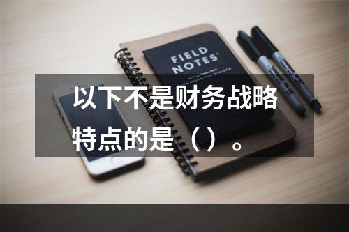 以下不是财务战略特点的是（ ）。