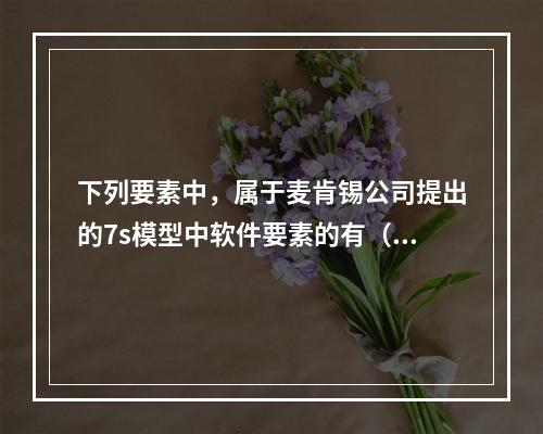 下列要素中，属于麦肯锡公司提出的7s模型中软件要素的有（　