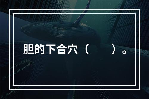 胆的下合穴（　　）。