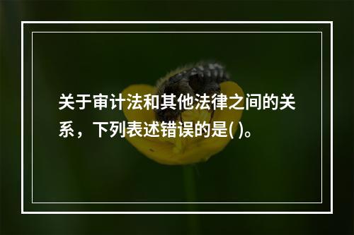 关于审计法和其他法律之间的关系，下列表述错误的是( )。