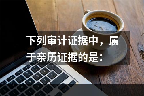 下列审计证据中，属于亲历证据的是：