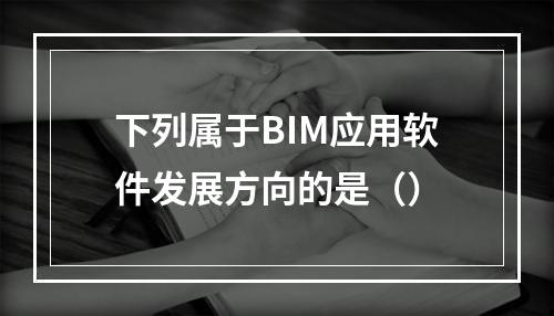 下列属于BIM应用软件发展方向的是（）