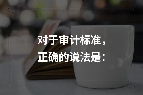 对于审计标准，正确的说法是：