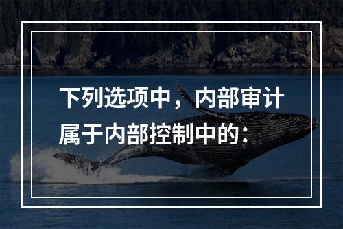 下列选项中，内部审计属于内部控制中的：