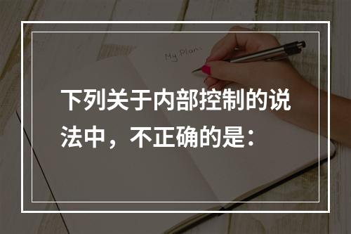 下列关于内部控制的说法中，不正确的是：