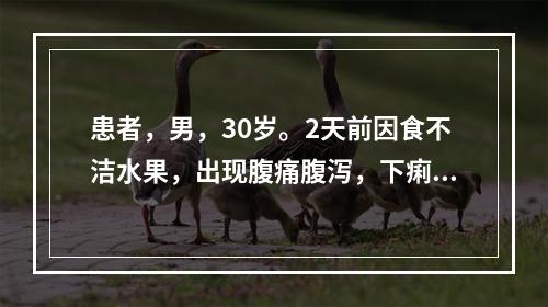 患者，男，30岁。2天前因食不洁水果，出现腹痛腹泻，下痢赤