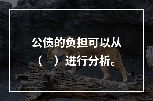 公债的负担可以从（　）进行分析。