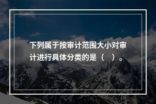 下列属于按审计范围大小对审计进行具体分类的是（　）。