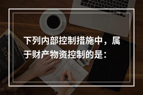 下列内部控制措施中，属于财产物资控制的是：