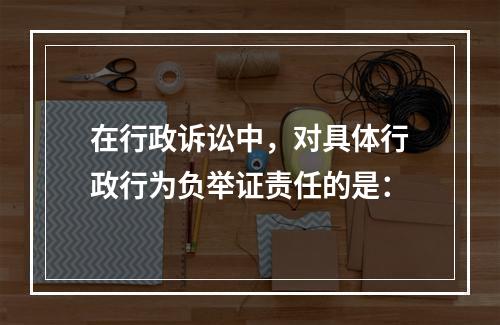 在行政诉讼中，对具体行政行为负举证责任的是：