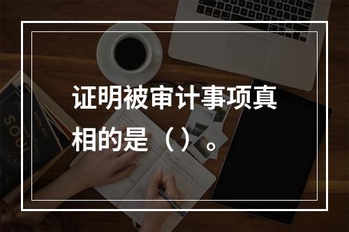 证明被审计事项真相的是（ ）。