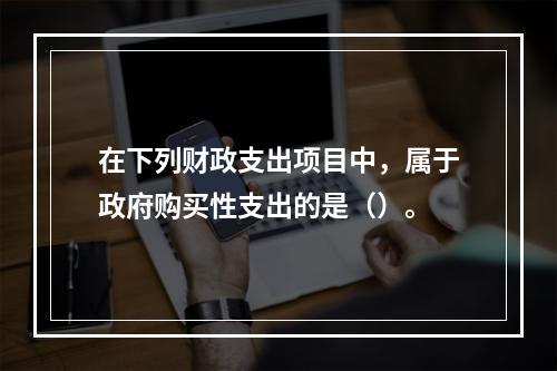 在下列财政支出项目中，属于政府购买性支出的是（）。