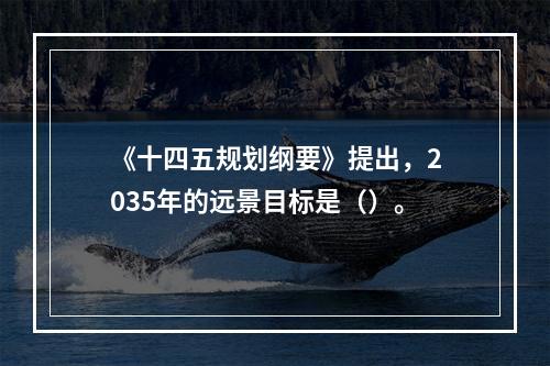 《十四五规划纲要》提出，2035年的远景目标是（）。