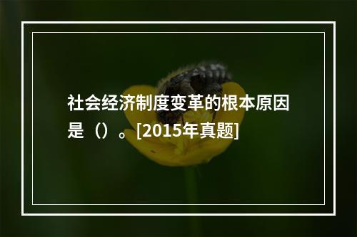 社会经济制度变革的根本原因是（）。[2015年真题]