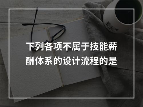 下列各项不属于技能薪酬体系的设计流程的是