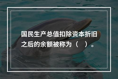 国民生产总值扣除资本折旧之后的余额被称为（　）。