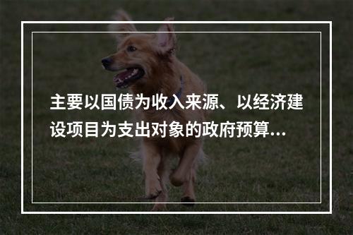 主要以国债为收入来源、以经济建设项目为支出对象的政府预算是（