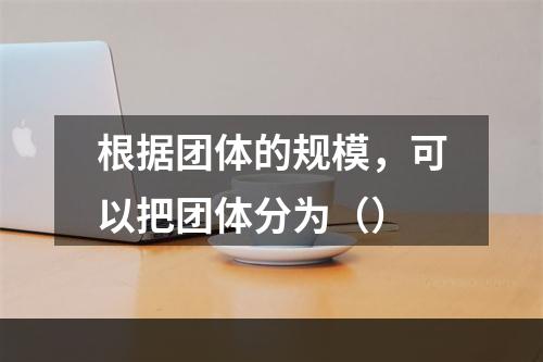 根据团体的规模，可以把团体分为（）