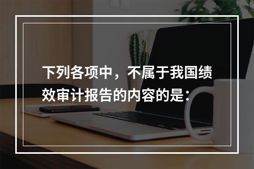 下列各项中，不属于我国绩效审计报告的内容的是：